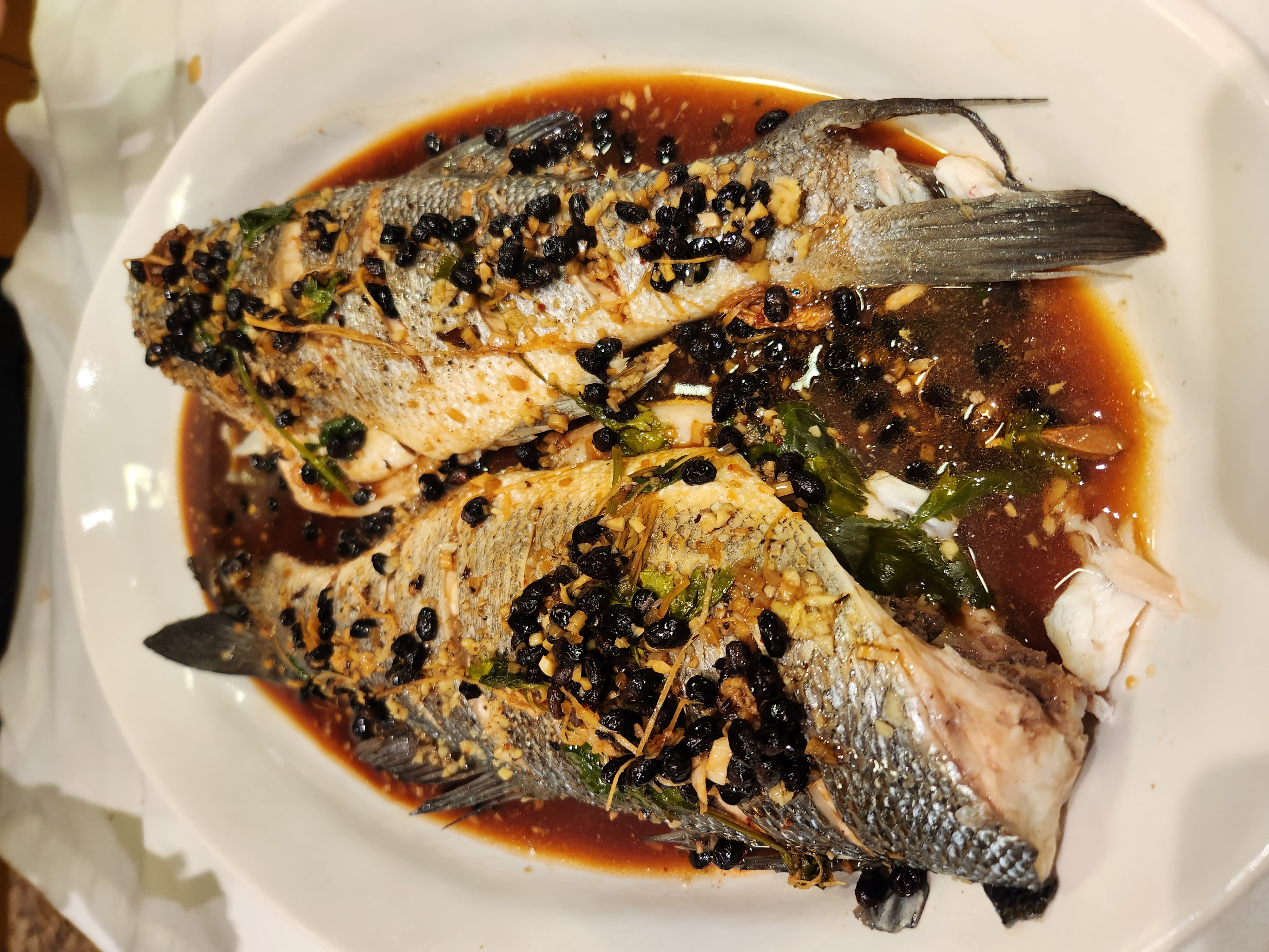 Signature steamed seabass plated for service